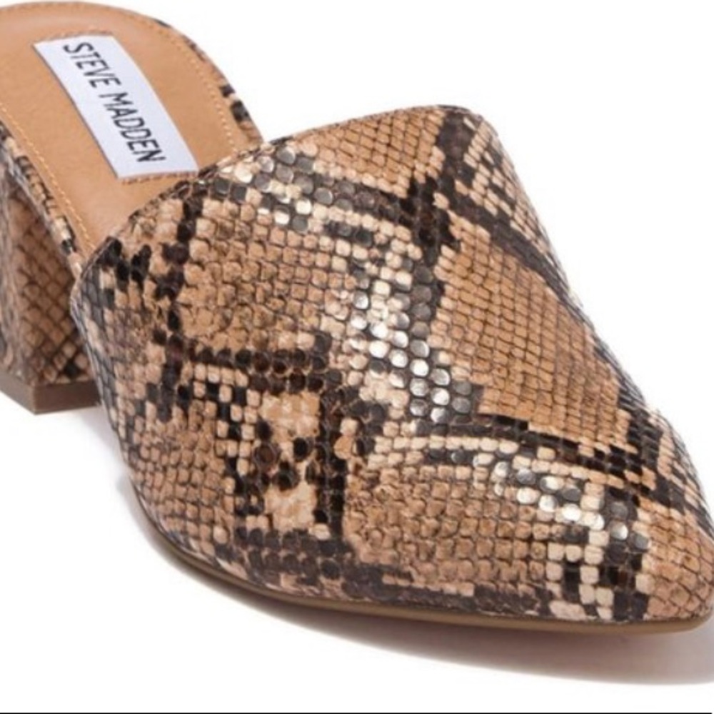 NEW Steve Madden Bishop Mule